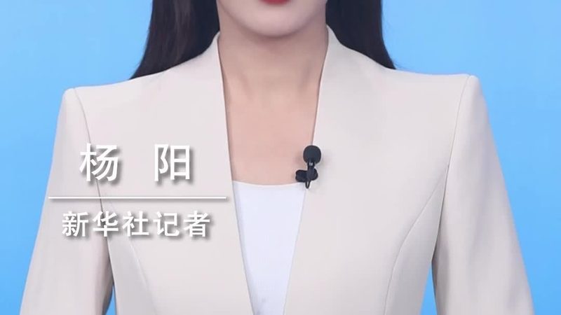 SaaS平台案例：揭秘高效协作背后的技术秘密